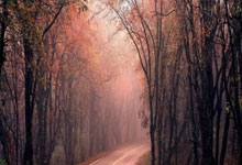 今晨欧冠联賽(sài)上演进球盛宴(yàn)