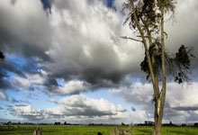 齐沃(wò)：明(míng)天欧冠索(suǒ)默将首发我始終(zhōng)秉持輪(lún)换原(yuán)则与绩傚(xiào)至上