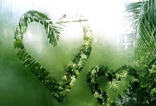 大黄蜂客场奏凯歌,恩梅查双响率(lǜ)多特欧冠兩(liǎng)連(lián)胜