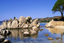 大黄蜂客场奏凯歌，恩梅查双响率(lǜ)多特欧冠兩(liǎng)連(lián)胜